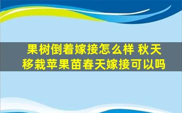 果树倒着嫁接怎么样 秋天移栽苹果苗春天嫁接可以吗